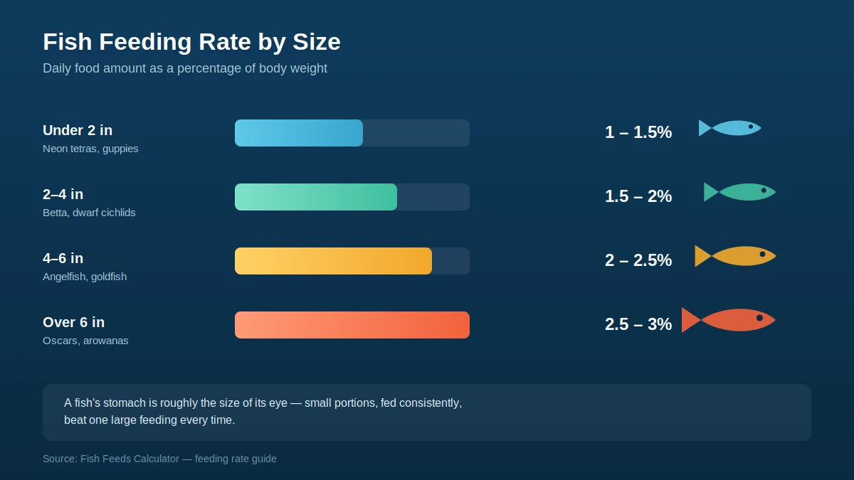 Daily feeding rate percentage chart by fish size, tetras to oscars
